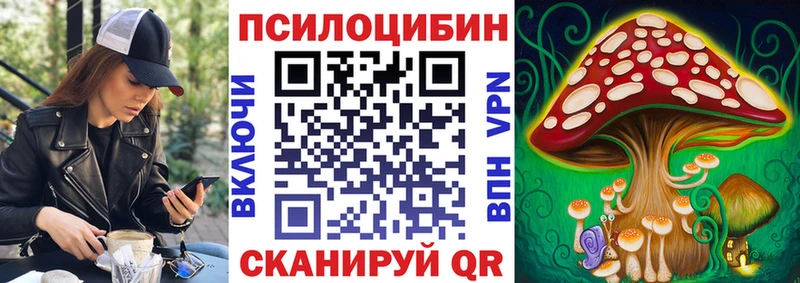 Псилоцибиновые грибы Psilocybine cubensis  Купить закладки  Новоалтайск 